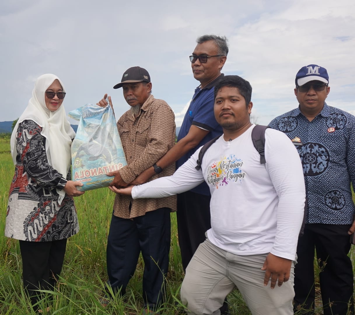 sumber : Diskominfo sp Lutim